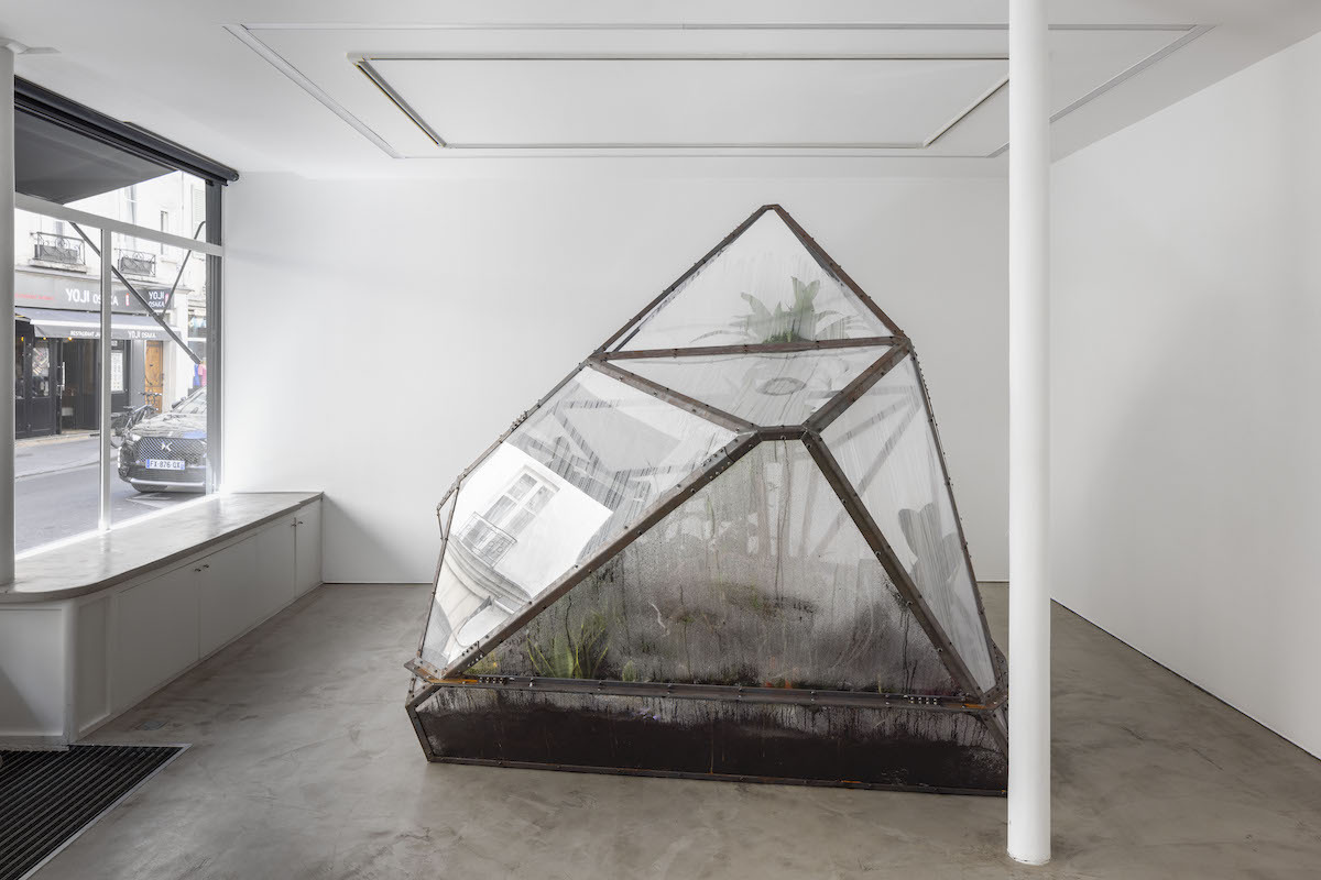 A terrarium misted over from the inside in the front room of a gallery.