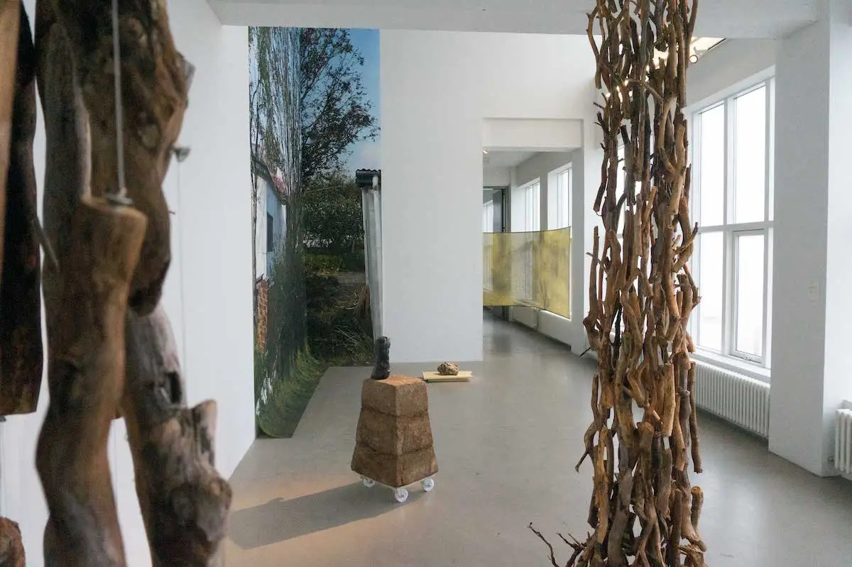 Sculptures formed from branches in a gallery.