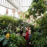 A group of people staring at flower-like sculptures strung through greenery in a greenhouse.