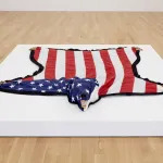 Nicholas Galanin, The American Dream Is Alie and Well, 2012.