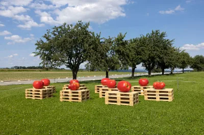 A sculptural installation of various large-scale tomatoes sitting on wooden crates. 