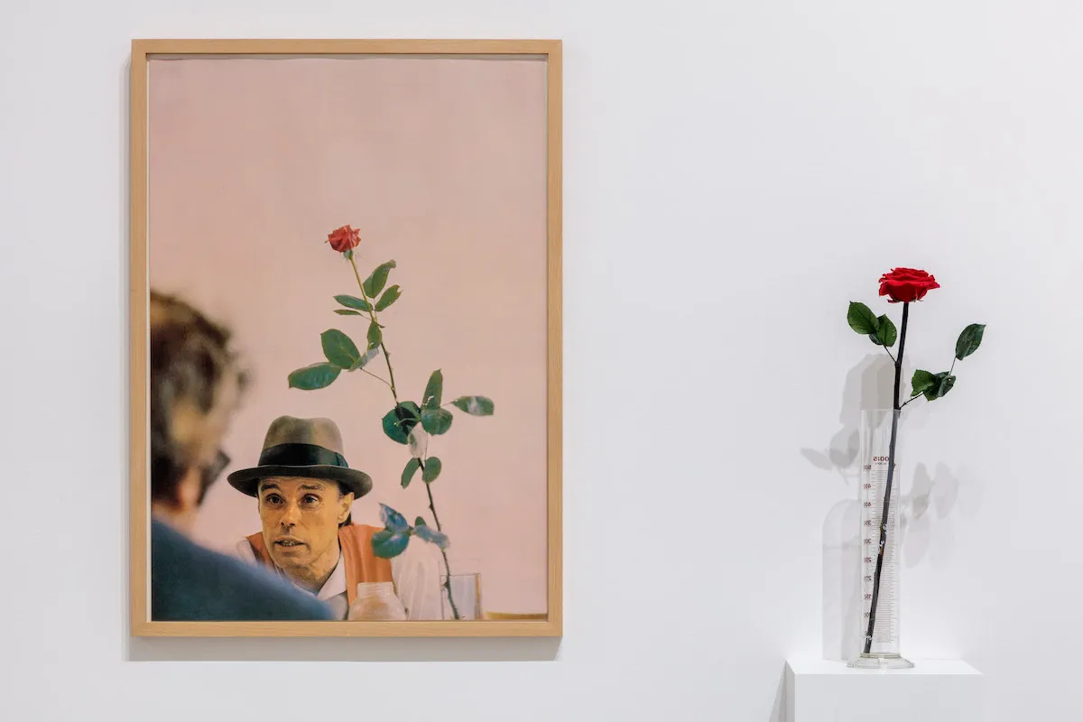 An actual rose in a vessel beside a photograph of a white man in a bowler hat beside a similar rose.