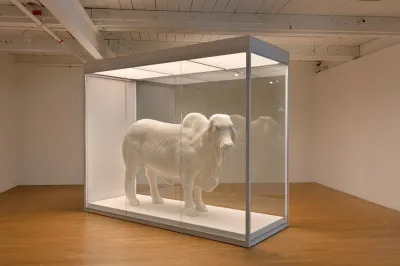 A life-size butter sculpture of a cow in a vitrine. 