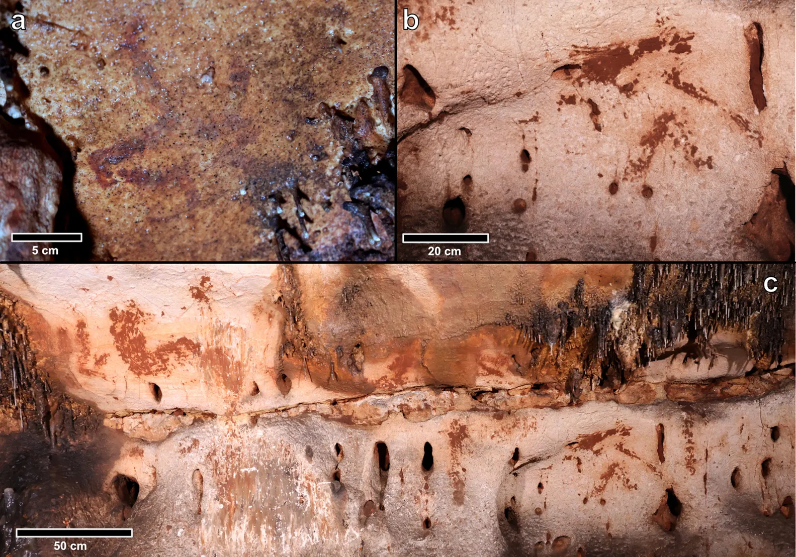 Interior images of the Cova Dones cave site: a) painted aurochs head; b) horse head made with clay; and c) panel with several motifs painted with clay, including animals and signs.